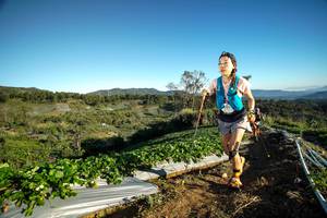 BIB: 
                            <button type="button" onclick="openModal(19111083)" class="btn btn-primary btn-sm float-right btn-popup" data-toggle="modal" data-target=".modal-high-quality">
                        <i class="fas fa-shopping-cart"></i> Add to Cart
                    </button>
                                            <button type="button" onclick="isThisMe(19111083, true)" class="btn btn-success btn-sm float-right btn-popup btn-isme hidden" data-toggle="tooltip" data-placement="bottom" title="นี่คือรูปของคุณใช่ไหม คลิกที่นี่เพื่อเอาเข้าอัลบั้ม">
                        <i class="fas fa-plus"></i> Add to album
                    </button>
                    <button type="button" onclick="isThisMe(19111083, false)" class="btn btn-warning btn-sm float-right btn-popup btn-isnotme hidden">
                        <i class="fas fa-ban"></i> Remove from album
                    </button>